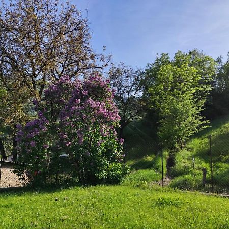 Comme Chez Vous Villa Bayons Kültér fotó
