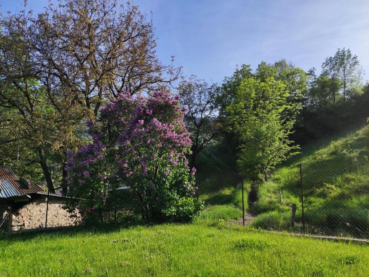 Comme Chez Vous Villa Bayons Kültér fotó